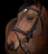 Snaffle Bridle