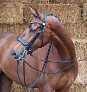 Weymouth Bridle 