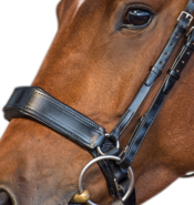 Fairfax Nosebands