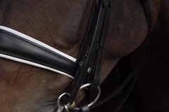 B2F Nosebands