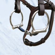 Sweet Iron snaffles