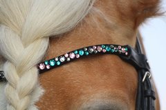 Magic Tack Browbands