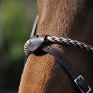 Jumping & Eventing nosebands