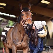 Jumping & Eventing Reins