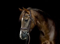 NEW Bling Swing Magic Tack