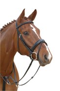Standard jumping bridle
