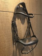 Anatomic noseband bridle