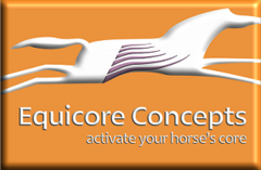 Equicore Concepts - Equiband