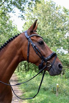 Noseband model S5 with flashstrap loop rolled leather B2F