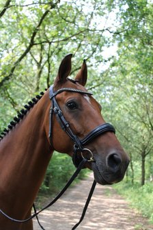 Noseband model S5 no flash rolled leather B2F