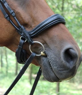 Noseband model S5 no flash FLAT leather B2F