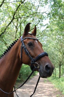 Noseband model S5 no flash FLAT leather B2F