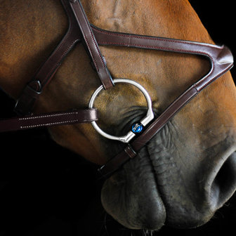 Oscar Double jointed Titanium D-ring snaffle with Front Lock (Fager)