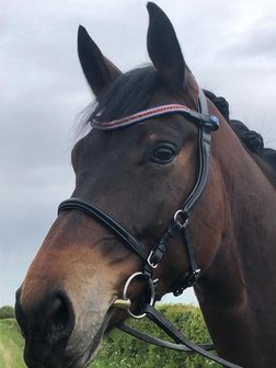 Quantum Snaffle Black 