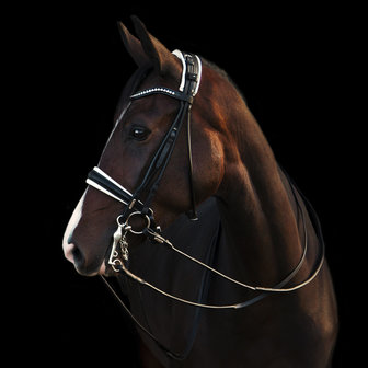 Edingburgh Black/GOLD Utzon weymouth bridle