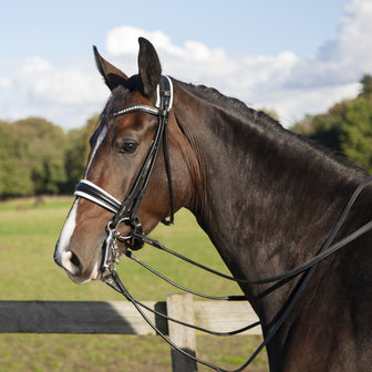 Edingburgh Black/GOLD Utzon weymouth bridle