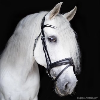 Noseband model S3 with flash loop B2F