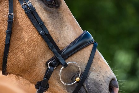 Noseband model S3 with flash loop B2F