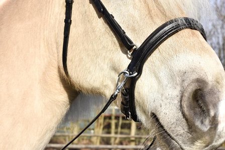 Bitless Noseband model NF1 no cheekpieces B2F