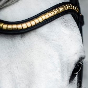 Brass Clincher Browband Utzon