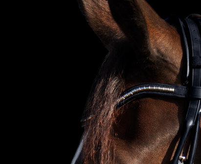 Silver Clincher Browband Utzon