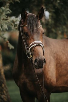 Finesse Cassidy Snaffle Brown/Gold