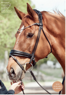 STOCK SALE Finesse Cassidy Snaffle Black/Gold Rose