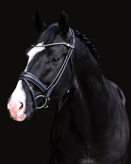 Finesse noseband for Cassidy snaffle Black/Silver