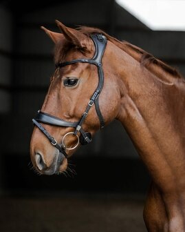 SLIDE &amp; LOCK Freedom Snaffle with flash St&uuml;bben