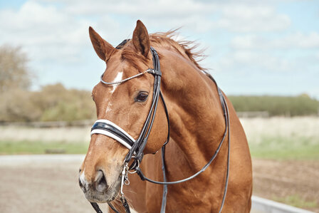 STOCK SALE Finesse weymouth bridle Cassidy Black/Silver
