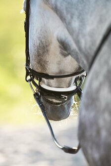 Edingburgh Black/SILVER Utzon snaffle bridle