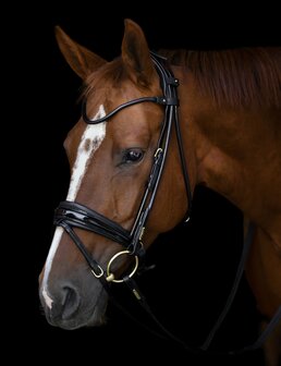 Edingburgh Black/GOLD Utzon snaffle bridle