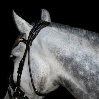 Olympic GOLD Utzon snaffle bridle