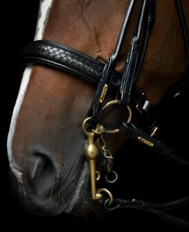 Olympic Black/GOLD Utzon weymouth bridle