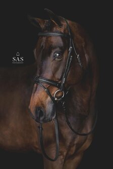 Grand Prix Utzon snaffle bridle