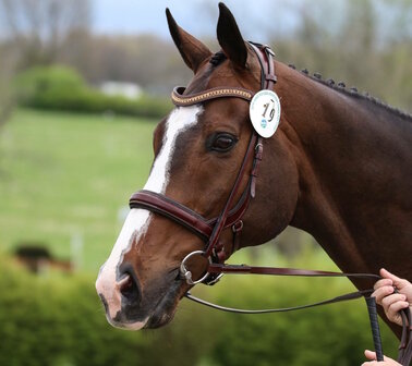 STOCK SALE TCS &quot;Andros Topaz&quot; noseband