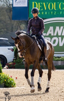 STOCK SALE TCS &quot;Andros Topaz&quot; noseband