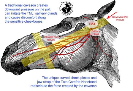 STOCK SALE TCS Tota Comfort Drop Noseband - Lage Neusriem