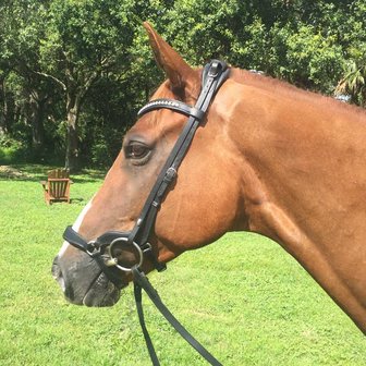 STOCK SALE TCS Tota Comfort Drop Noseband - Lage Neusriem