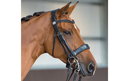 Fairfax Black Crystal Browband (Beads)