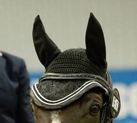Fairfax Black Crystal Browband (Beads)