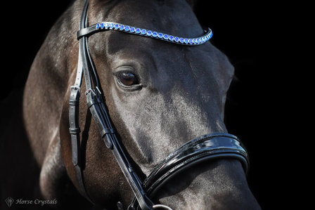 Wide Browband Sapphire Blue XL