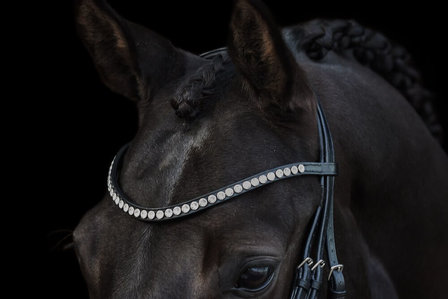 Zizi Browband Crystal Extra Large