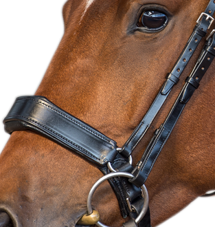 LAST CHANCE Fairfax noseband WITHOUT flash