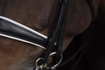 Noseband model S3 no flash B2F