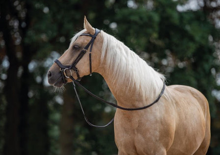 Noseband model J1 for snaffle B2F