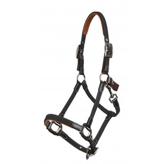 Breakaway Halter Le Mieux 