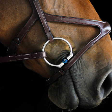 Oscar Double jointed Titanium D-ring snaffle with Front Lock (Fager)