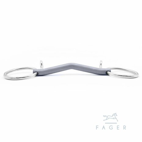 Sara anatomic titanium baucher (Fager)