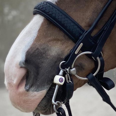 Olympic Black/SILVER Utzon weymouth bridle